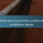 featured-image-sintetiska-zale-tenisa-kortiem-prieksrocibas-uzstadisana-apkope