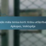 featured-image-zalas-mala-tenisa-korti-krasu-atskiribas-apkopes-veiktspeja