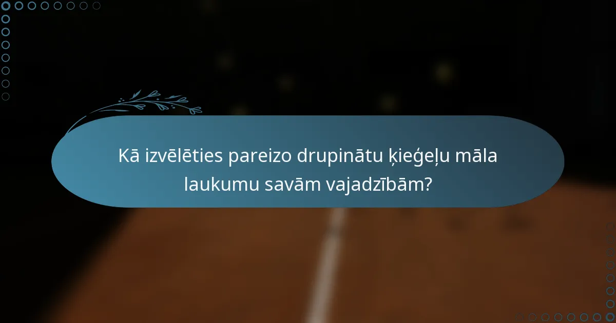 Kā izvēlēties pareizo drupinātu ķieģeļu māla laukumu savām vajadzībām?