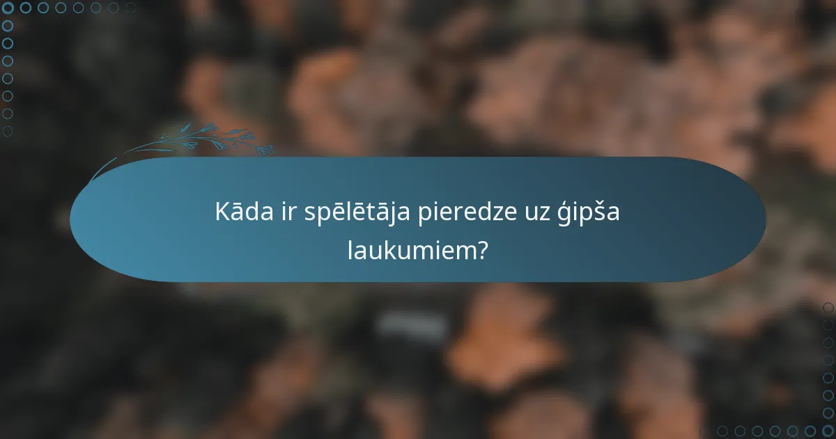 Kāda ir spēlētāja pieredze uz ģipša laukumiem?
