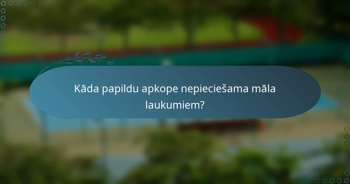 Kāda papildu apkope nepieciešama māla laukumiem?