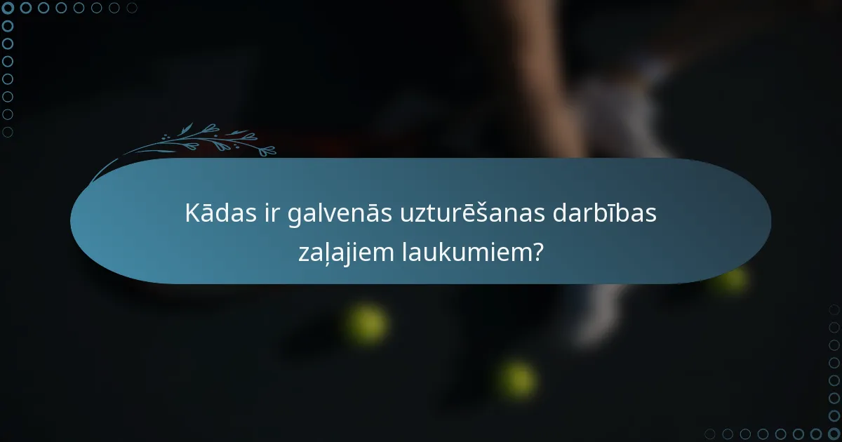 Kādas ir galvenās uzturēšanas darbības zaļajiem laukumiem?