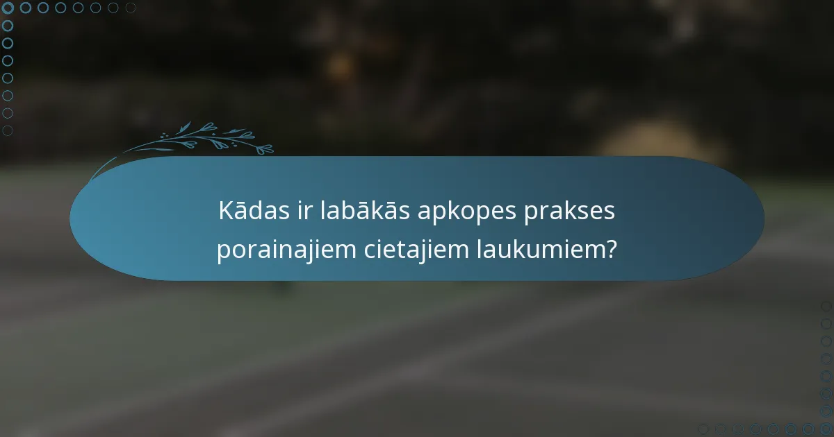 Kādas ir labākās apkopes prakses porainajiem cietajiem laukumiem?