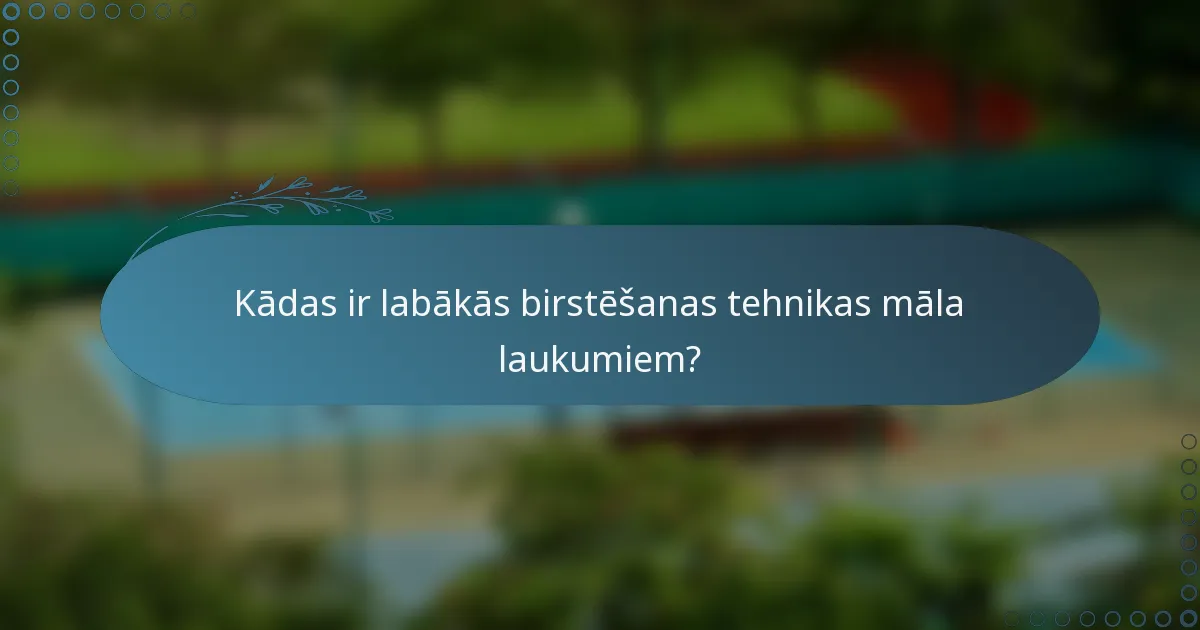 Kādas ir labākās birstēšanas tehnikas māla laukumiem?
