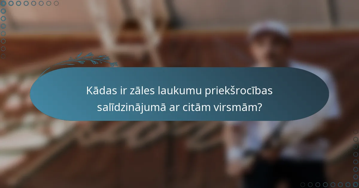 Kādas ir zāles laukumu priekšrocības salīdzinājumā ar citām virsmām?