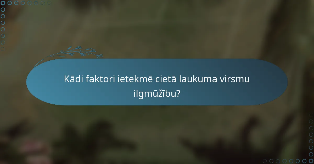Kādi faktori ietekmē cietā laukuma virsmu ilgmūžību?