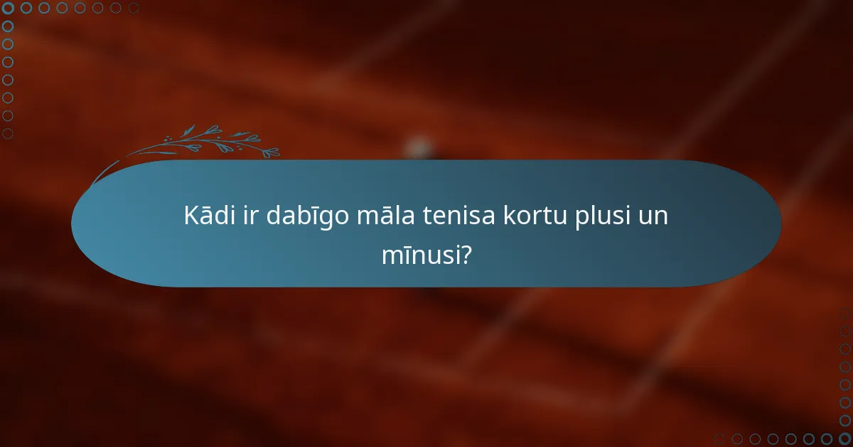 Kādi ir dabīgo māla tenisa kortu plusi un mīnusi?