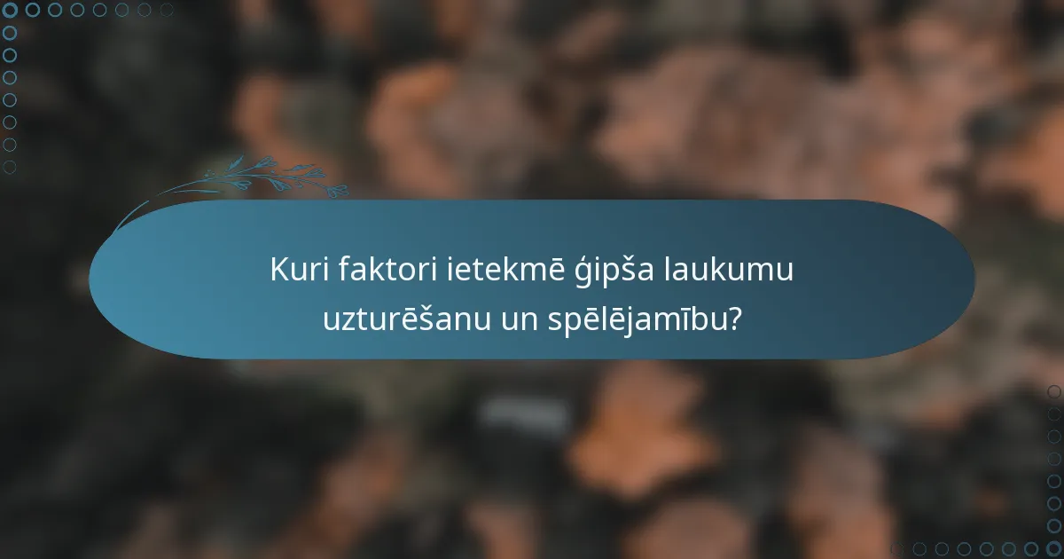 Kuri faktori ietekmē ģipša laukumu uzturēšanu un spēlējamību?